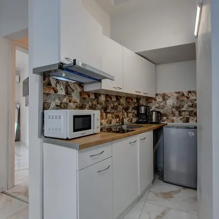 Bright New 1 Bd With Balcony In Appartement